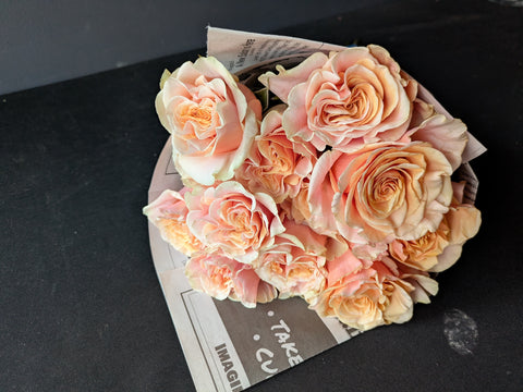 A Valentine's Dozen Roses