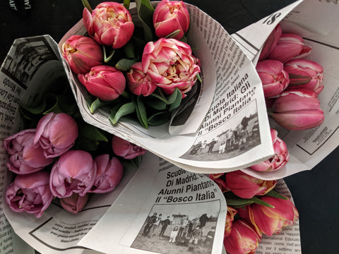 A Bunch of Tulips - SALE!